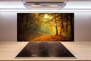 Dekorační panel sklo Podzimní les pksh-60738927