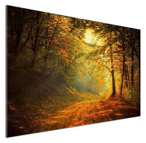 Dekorační panel sklo Podzimní les pksh-60738927