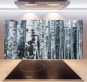 Panel do kuchyně Stromy bříza pksh-60759693