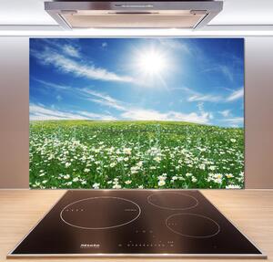 Skleněný panel do kuchyně Louka pksh-6089070