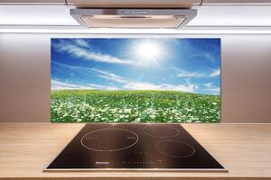 Skleněný panel do kuchyně Louka pksh-6089070
