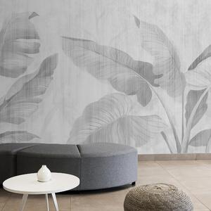 Fototapeta Elegantní listy na decentním pozadí, Přírodní fototapety, Populární fototapety, u00299v3 - Tapeko.co.cz