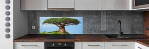 Skleněný panel do kuchyně Baobav pksh-61073116