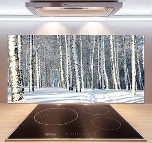 Skleněný panel do kuchynské linky Les zima pksh-61171749