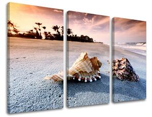 3dílný obraz na stěnu PLÁŽ - 60x40 cm