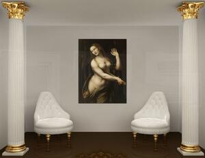 Reprodukce obrazu na plátně - Leonardo da Vinci REP264 - Leonardo da Vinci REP264 - 30x40 cm