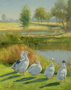 Timothy Easton - Obrazová reprodukce Gooseguard, (30 x 40 cm)