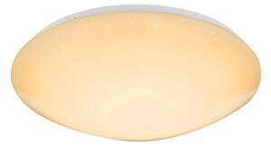 Globo 48363-24RGB - LED RGB Stm stropní svítidlo ATREJU 24W/230V pr. 41 cm+DO