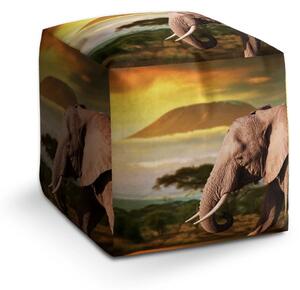 Sablio Taburet Cube Slon z profilu - 40x40x40 cm