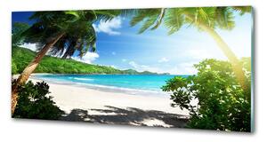 Panel do kuchyně Seychely pláž pksh-61788906