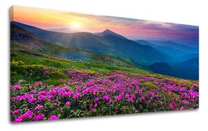 Obraz na stěnu PANORAMA SLOVENSKO - 30x60 cm