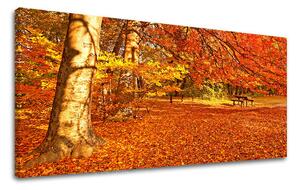 Obraz na stěnu PANORAMA STROMY - 30x60 cm