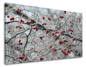 Obraz na stěnu STROMY - 20x30 cm