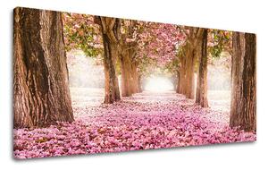Obraz na stěnu PANORAMA STROMY - 30x60 cm