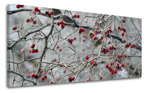 Obraz na stěnu PANORAMA STROMY - 30x60 cm
