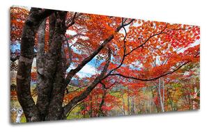 Obraz na stěnu PANORAMA STROMY - 30x60 cm