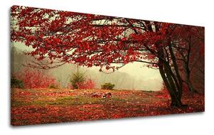 Obraz na stěnu PANORAMA STROMY - 30x60 cm