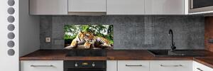 Panel do kuchyně Tygr na skále pksh-61968911