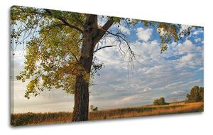 Obraz na stěnu PANORAMA STROMY - 30x60 cm