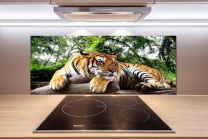 Panel do kuchyně Tygr na skále pksh-61968911