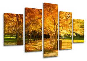 5dílný obraz na stěnu STROMY - 100x80 cm