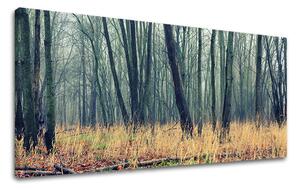 Obraz na stěnu PANORAMA STROMY - 30x60 cm