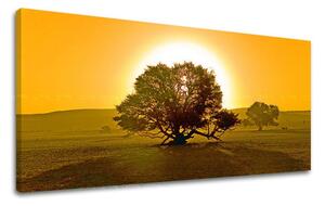 Obraz na stěnu PANORAMA STROMY - 30x60 cm