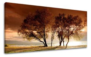 Obraz na stěnu PANORAMA STROMY - 30x60 cm