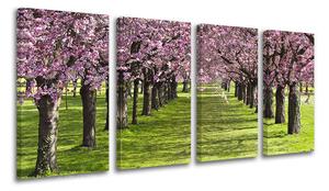 4dílný obraz na stěnu STROMY - 80x40 cm