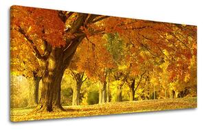 Obraz na stěnu PANORAMA STROMY - 30x60 cm