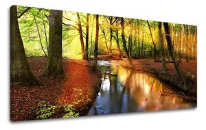Obraz na stěnu PANORAMA STROMY - 30x60 cm