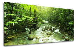 Obraz na stěnu PANORAMA STROMY - 30x60 cm