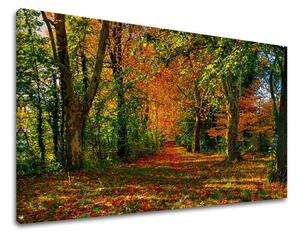 Obraz na stěnu STROMY - 20x30 cm