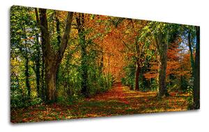 Obraz na stěnu PANORAMA STROMY 30x60 cm