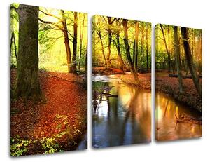 3dílný obraz na stěnu STROMY - 60x40 cm