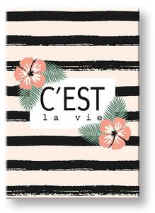 Obraz na stěnu s textem C est la vie - 40x60 cm
