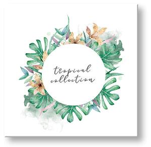 Obraz na stěnu s textem Tropická kolekce - 30x30 cm