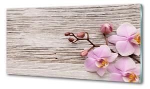 Panel lacobel Orchidej a na stromě pksh-62495656