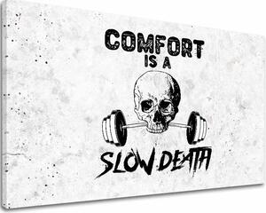 Obraz na plátně Comfort Is a Slow Death - Motivace do posilovny - 60x90 cm