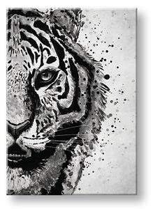 Obraz na plátně TIGER 001 - 40x60 cm