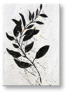 Obraz na plátně RASTLINES 001 - 40x60 cm