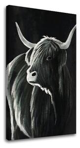 Obraz na plátně BÝK 002 - 40x60 cm