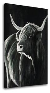 Obraz na plátně BÝK 002 - 40x60 cm