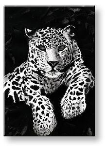 Obraz na plátně GEPARD 001 - 40x60 cm
