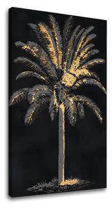 Obraz na plátně PALMA 001 - 40x60 cm