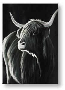 Obraz na plátně BÝK 002 - 40x60 cm