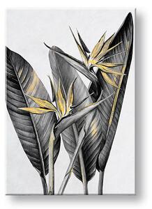 Obraz na plátně RASTLINES 003 - 40x60 cm