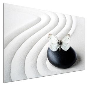 Panel do kuchyně Kámen zen a motýl pksh-62915953