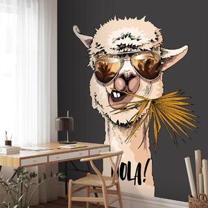 Fototapeta Lama ve slunečních brýlích a s listem na hlavě, Dětské fototapety, Populární fototapety, u98177v1 - Tapeko.co.cz