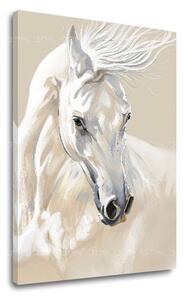 Obraz na plátně MAJESTY WHITE Pigeon - 40x60 cm